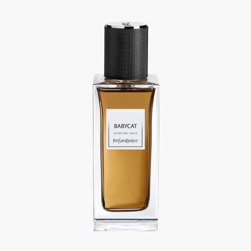 Babycat - Fragrance Empire